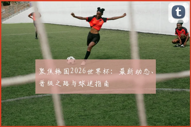 聚焦韩国2026世界杯：最新动态、晋级之路与球迷指南